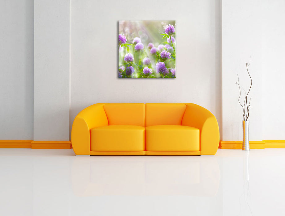 Kleeblüten im Sonnenschein Leinwandbild Quadratisch über Sofa