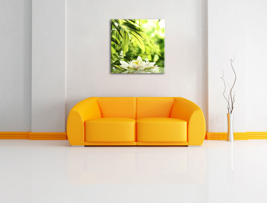 Weiße Seerose im Wasser Wellness Leinwandbild Quadratisch über Sofa