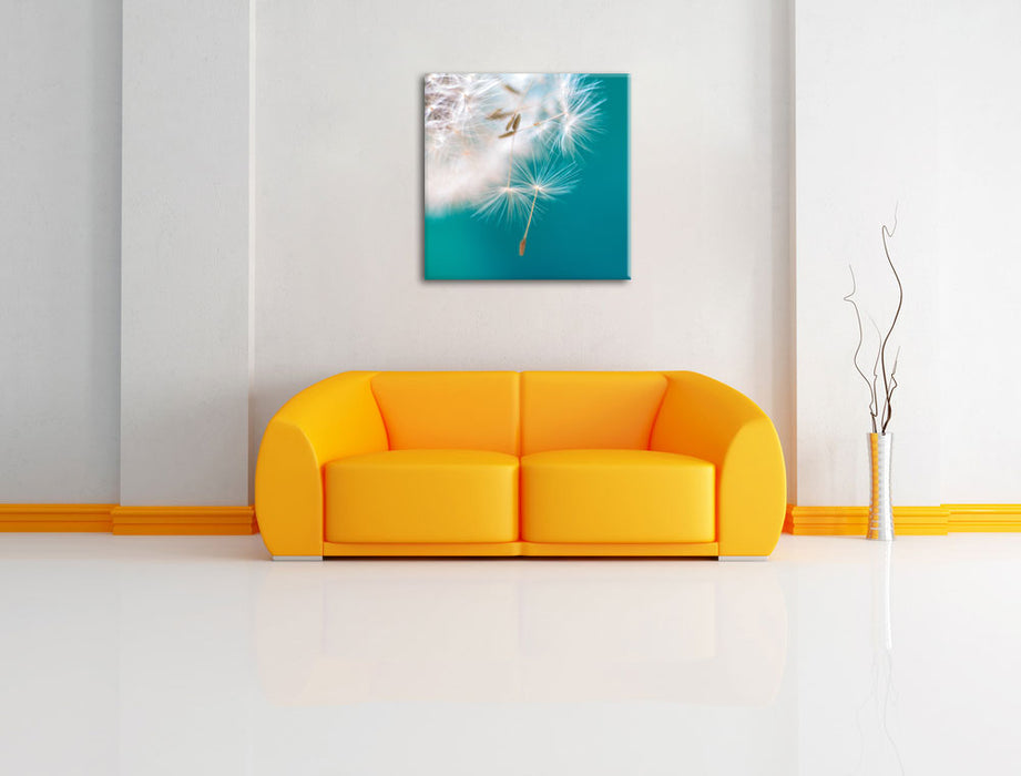Wunderschöne Pusteblume Leinwandbild Quadratisch über Sofa