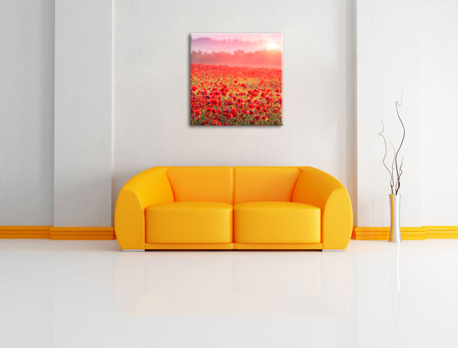 Mohnwiese im Sonnenschein Leinwandbild Quadratisch über Sofa