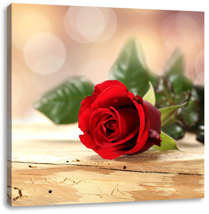 Rose auf Holztisch Leinwandbild Quadratisch