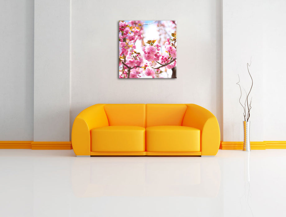 Schöne Kirschblüten Leinwandbild Quadratisch über Sofa
