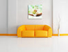 Lilie Blüte Bananenblatt Leinwandbild Quadratisch über Sofa
