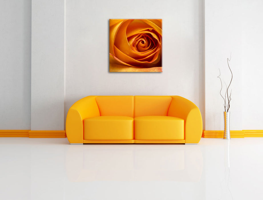 Anmutige gelbe geschlossene Rose Leinwandbild Quadratisch über Sofa