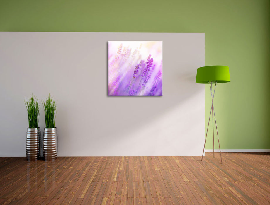 Schöner Lavendel im sanften Licht Leinwand Quadratisch im Flur