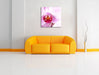 Prächtige Rosa Orchidee Leinwandbild Quadratisch über Sofa