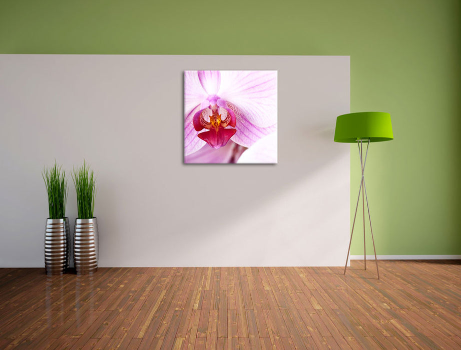 Prächtige Rosa Orchidee Leinwand Quadratisch im Flur