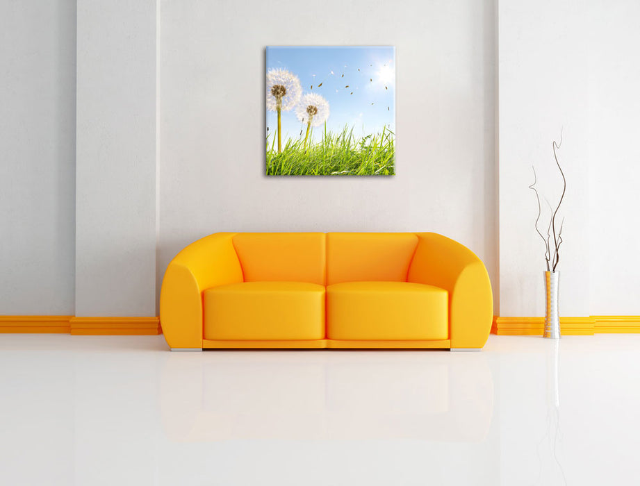 Pusteblumen auf Frühlingswiese Leinwandbild Quadratisch über Sofa