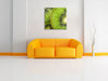 Grüner Kiwi Traum Leinwandbild Quadratisch über Sofa