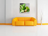 BIO Smoothie Apfel Limette Kiwi Leinwandbild Quadratisch über Sofa