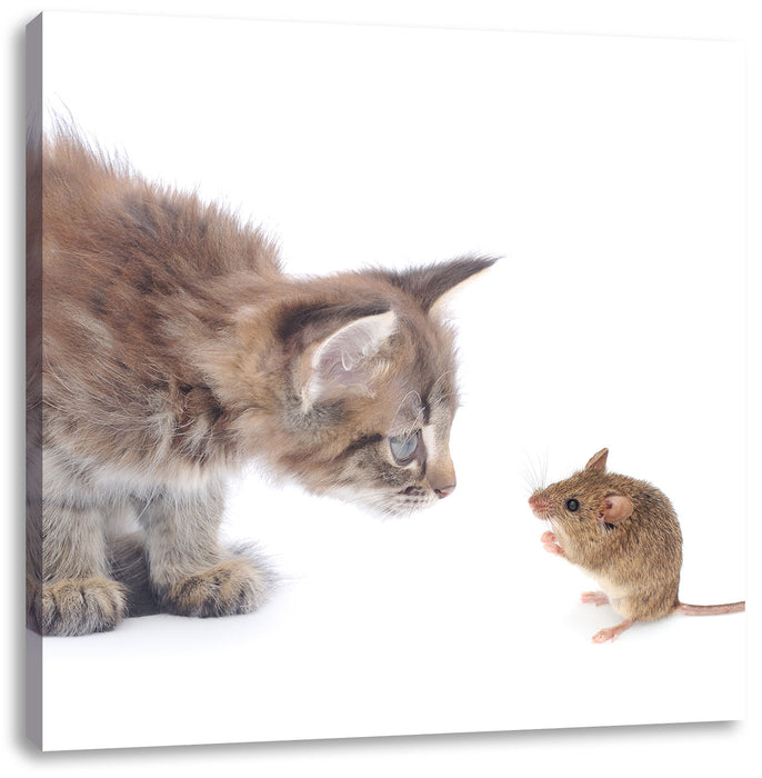 Katze und Maus Freunde Leinwandbild Quadratisch