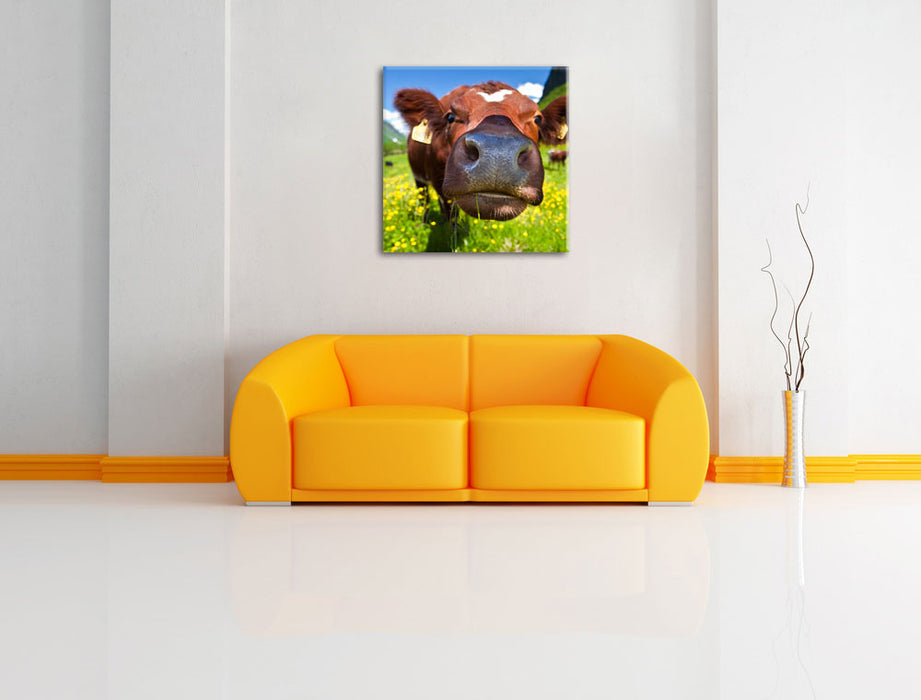 Alpen Kuh auf Bergwiese Leinwandbild Quadratisch über Sofa