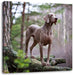 Edler Weimaraner im Wald Leinwandbild Quadratisch