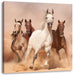 Western Pferde in Wüste Leinwandbild Quadratisch