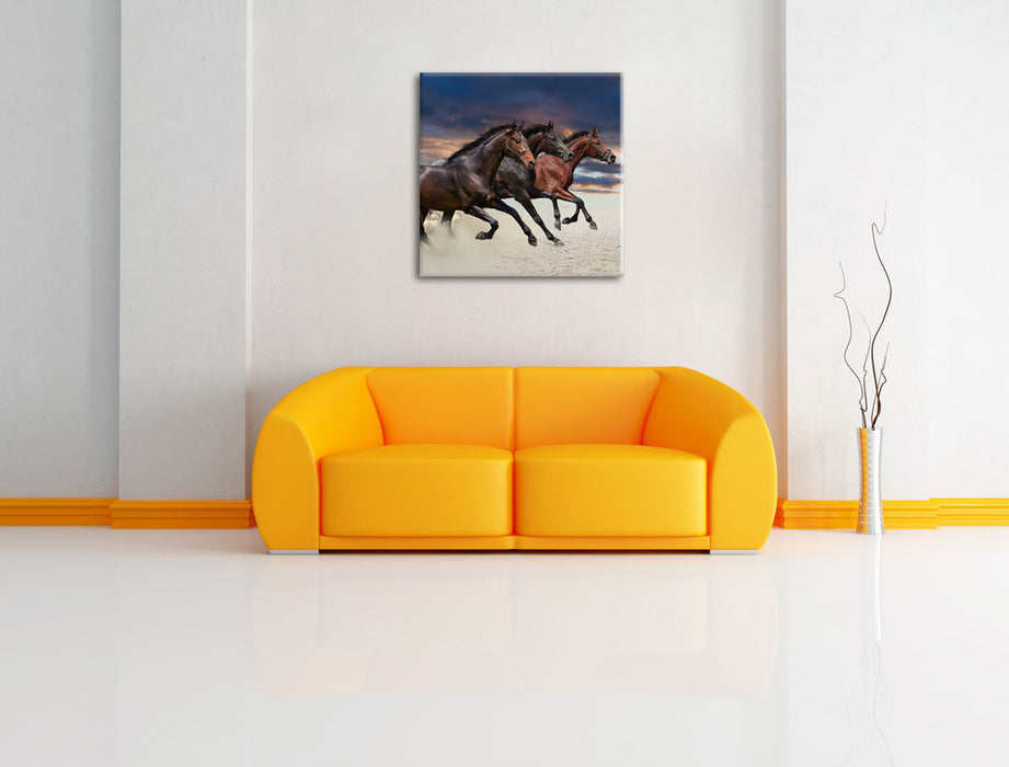 Drei wilde Westernpferde Leinwandbild Quadratisch über Sofa