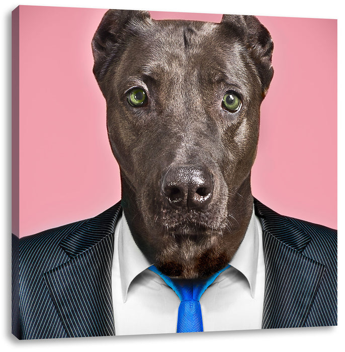 Manager Hund mit Anzug Leinwandbild Quadratisch