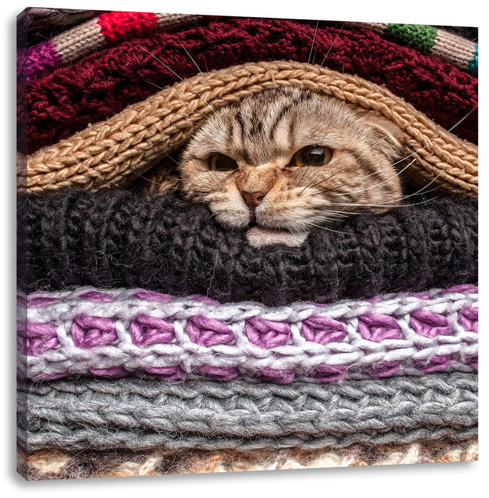 Katzen zwischen Pullovern Leinwandbild Quadratisch