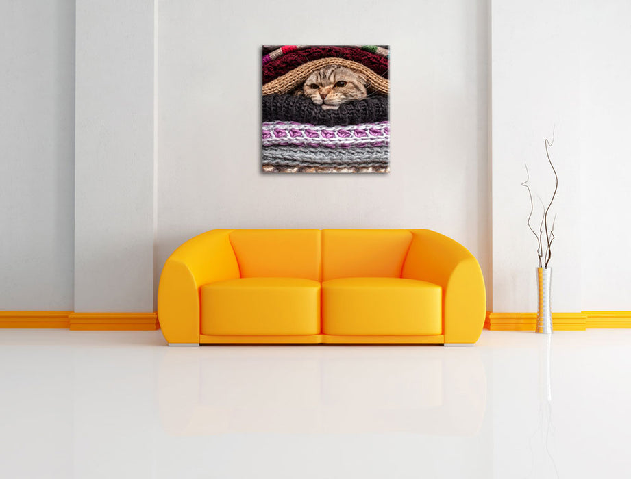 Katzen zwischen Pullovern Leinwandbild Quadratisch über Sofa