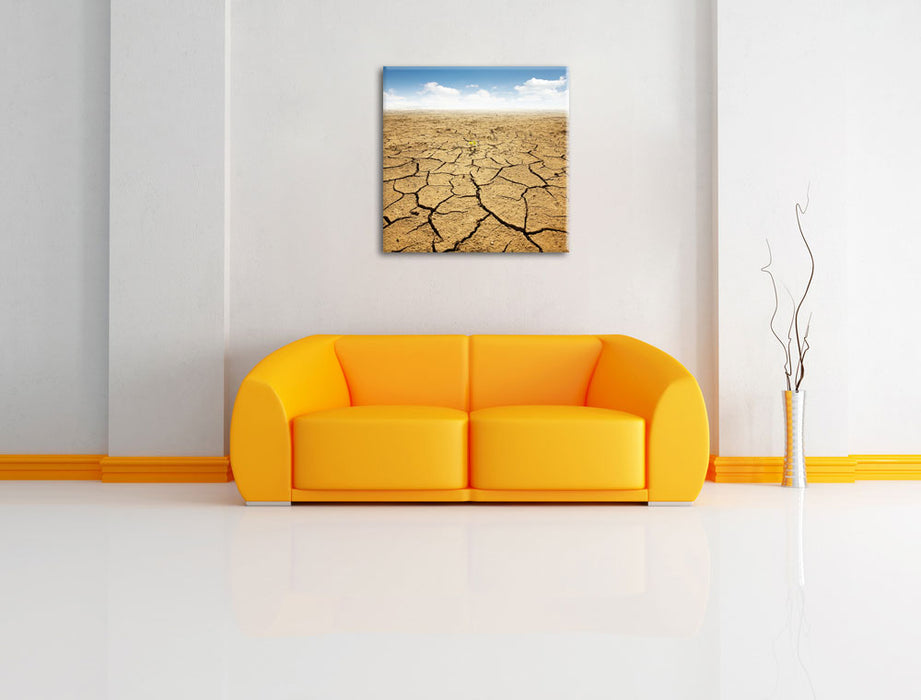 Rissiger Wüstenboden Leinwandbild Quadratisch über Sofa