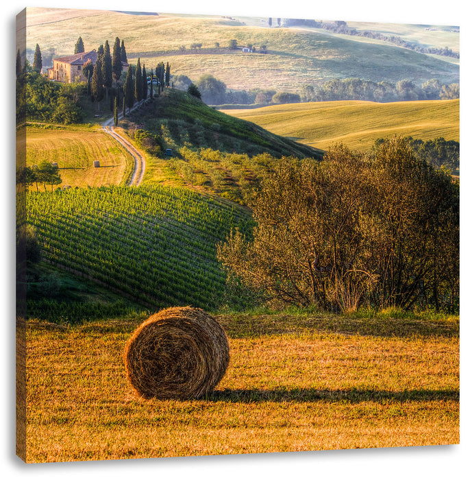 Italienische Toskana Landschaft Leinwandbild Quadratisch