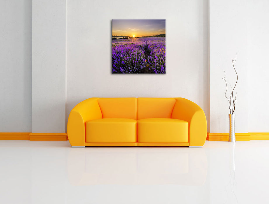Lavendelfeld in Frankreich Leinwandbild Quadratisch über Sofa
