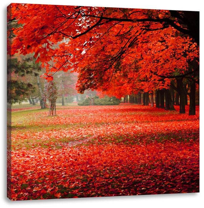 Rot gefärbter Park im Herbst Leinwandbild Quadratisch