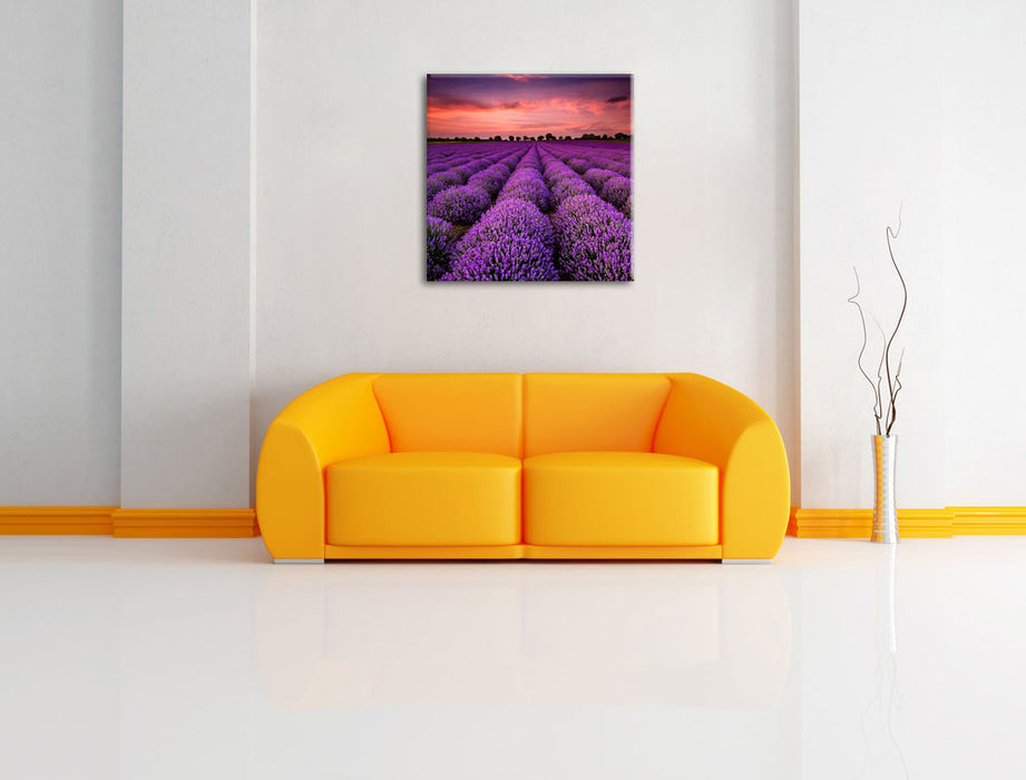 Lila Lavendel Provence Leinwandbild Quadratisch über Sofa