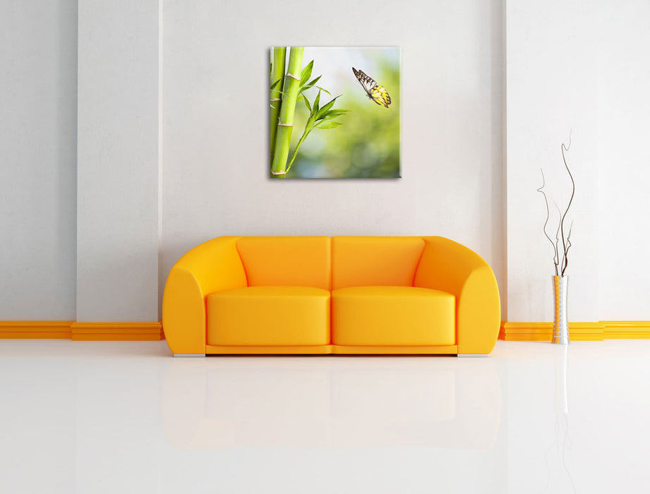 Bambus mit Schmetterling Leinwandbild Quadratisch über Sofa