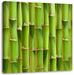 Grüner frischer Bambus Leinwandbild Quadratisch