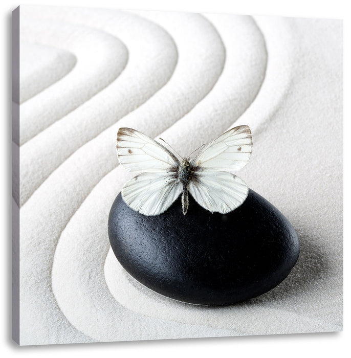 Schmetterling auf Zen Stein Leinwandbild Quadratisch