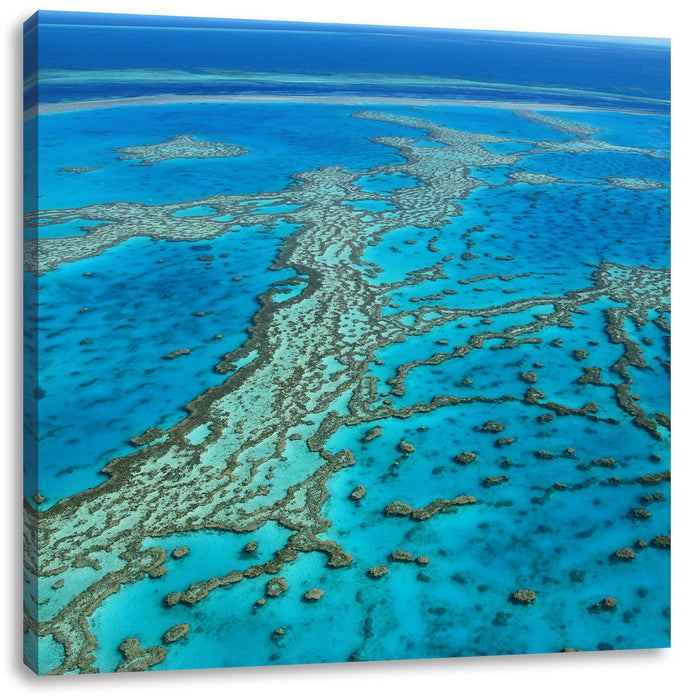 Wunderschöne Ozean Riffe Leinwandbild Quadratisch