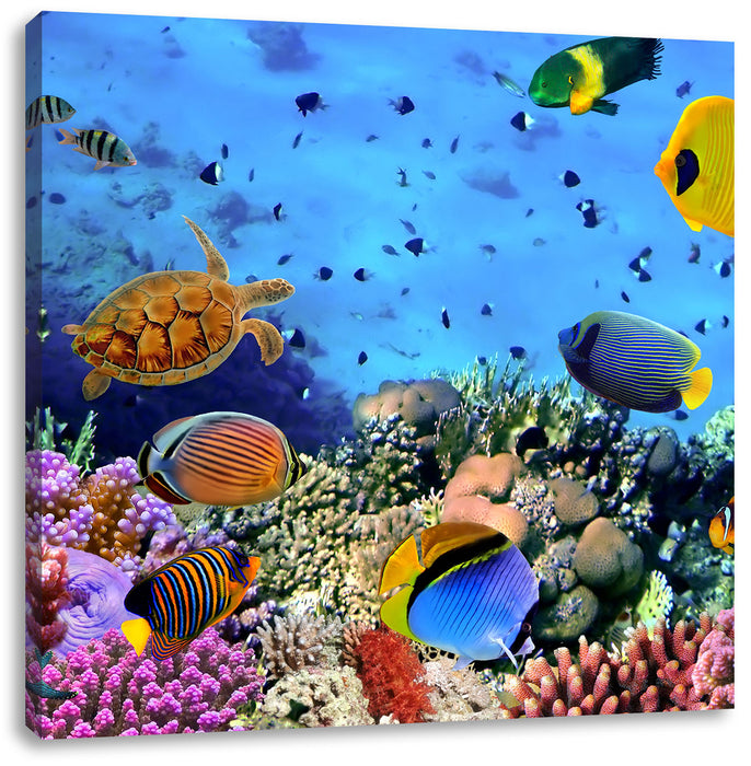 Fische über Korallenriff Leinwandbild Quadratisch