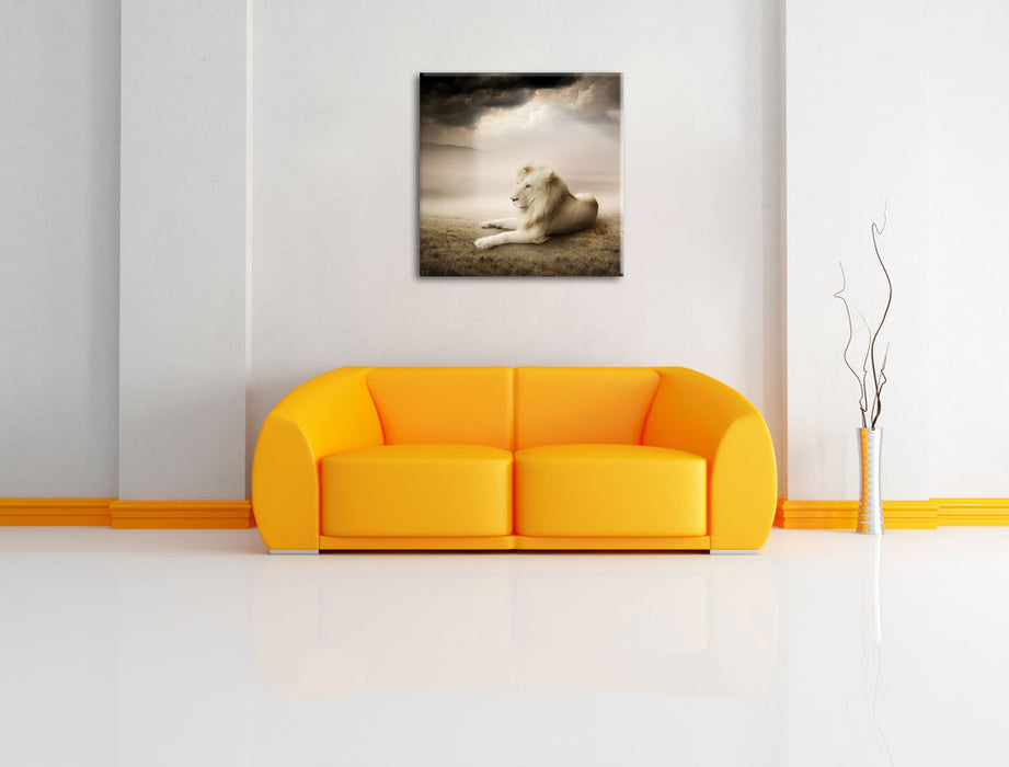 Stolzer weißer Löwenkönig Leinwandbild Quadratisch über Sofa