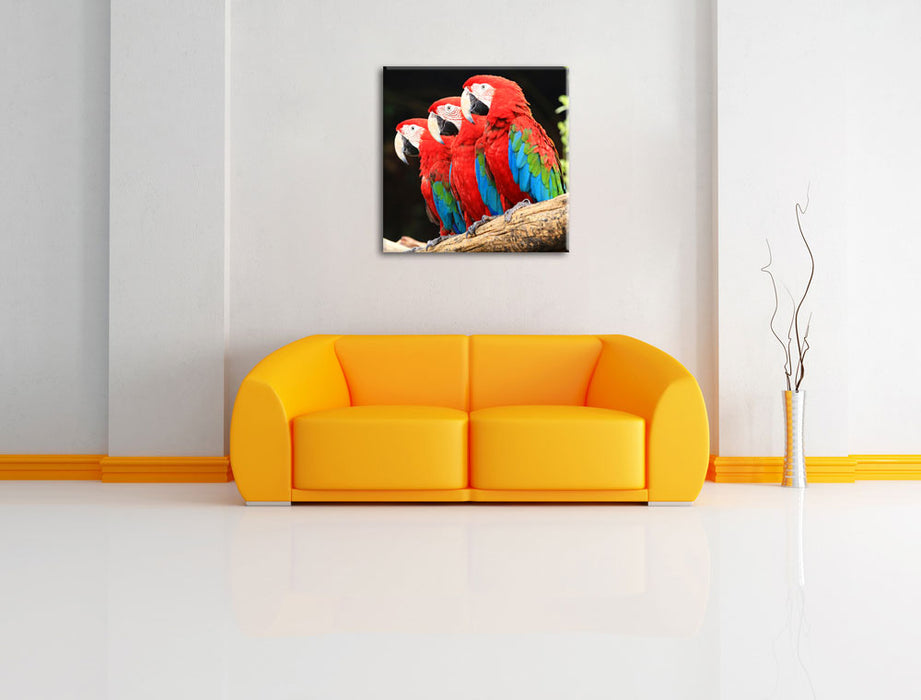 Papageien auf Ast Leinwandbild Quadratisch über Sofa