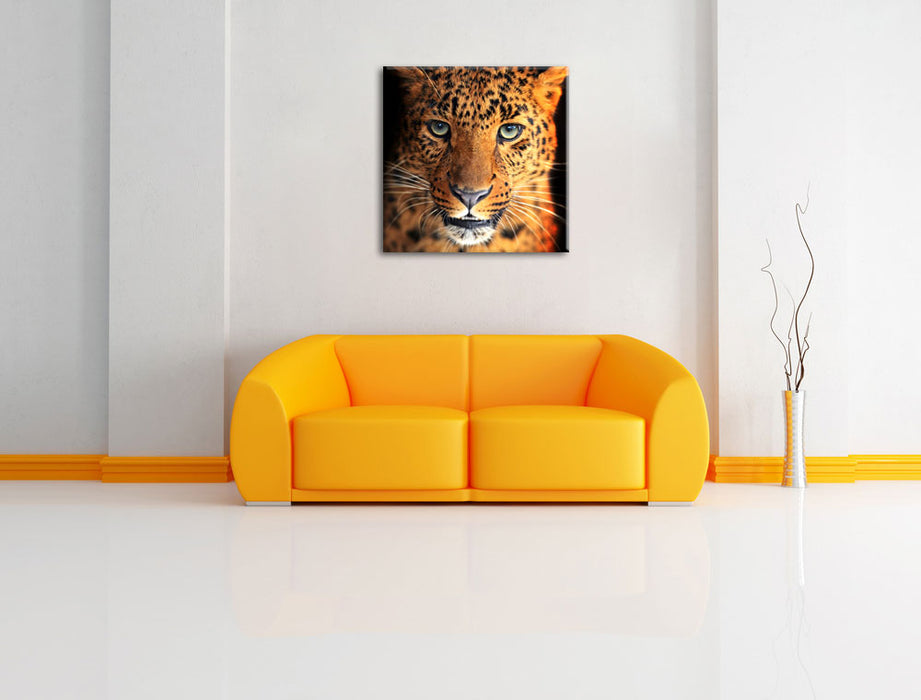 Stolzer Leopard Leinwandbild Quadratisch über Sofa