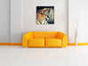 Brüllender Tiger Leinwandbild Quadratisch über Sofa