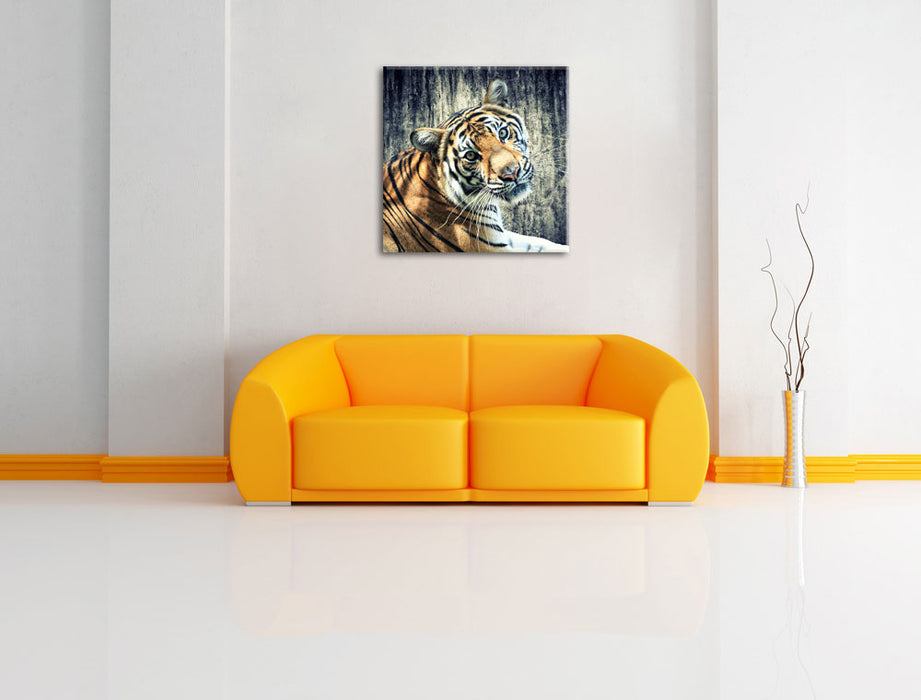 Neugieriger Tiger Leinwandbild Quadratisch über Sofa