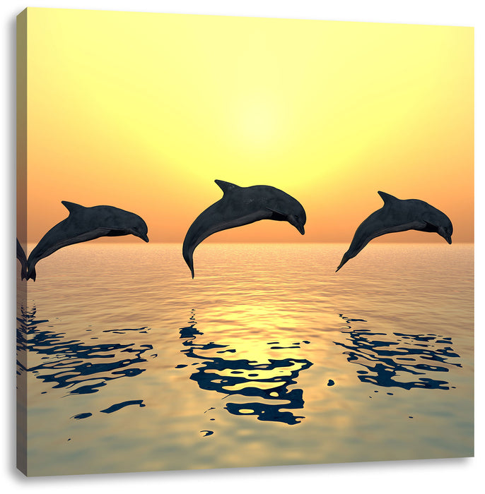 Delfine im Sonnenuntergang Leinwandbild Quadratisch