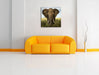 Imposanter Elefant Leinwandbild Quadratisch über Sofa