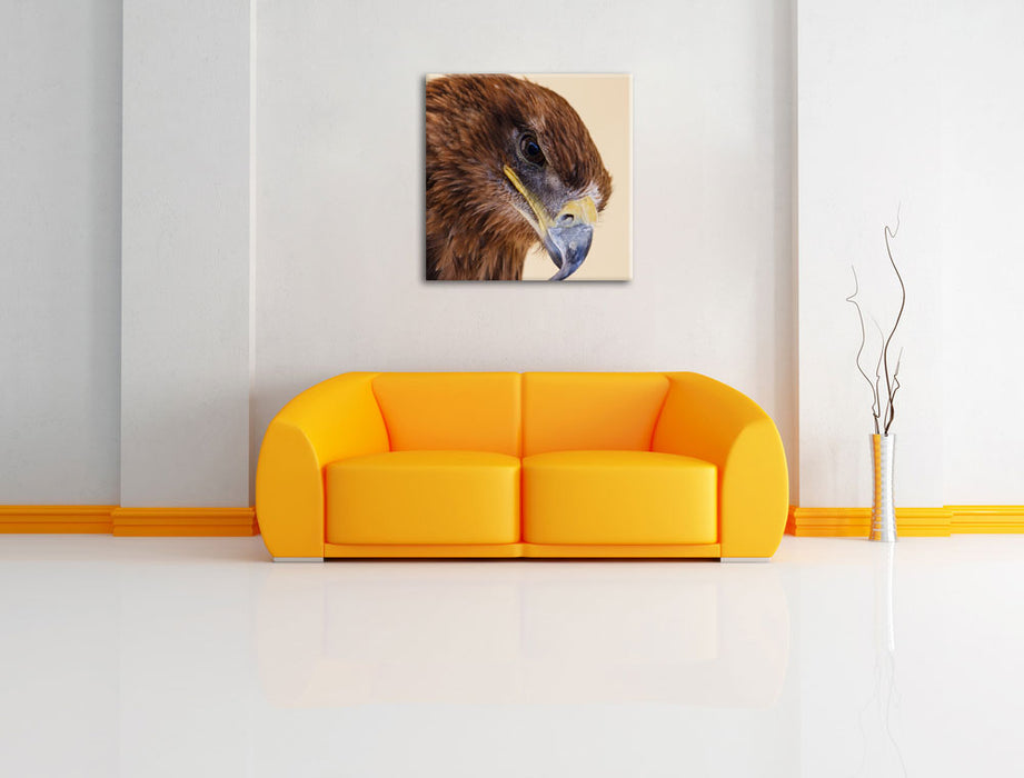Adler Porträ Leinwandbild Quadratisch über Sofa