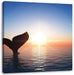 Walflosse im Sonnenuntergang Leinwandbild Quadratisch