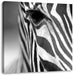 Zebra Nahaufnahme Leinwandbild Quadratisch