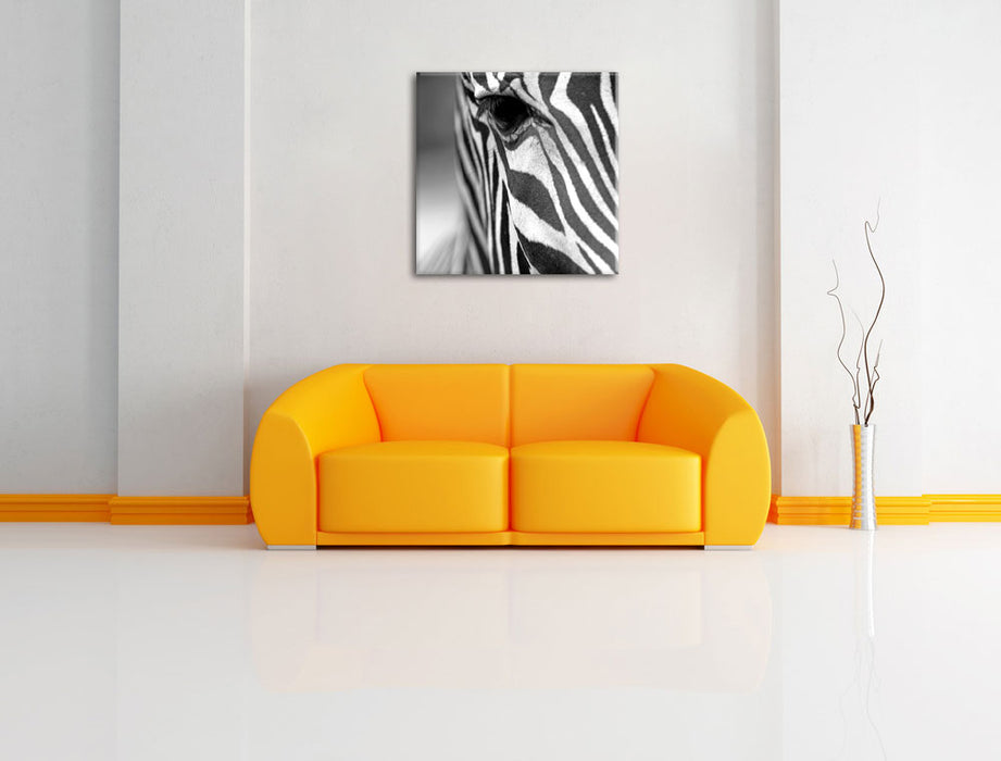 Zebra Nahaufnahme Leinwandbild Quadratisch über Sofa