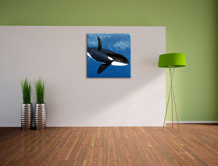 Orca im blauen Meer Leinwand Quadratisch im Flur