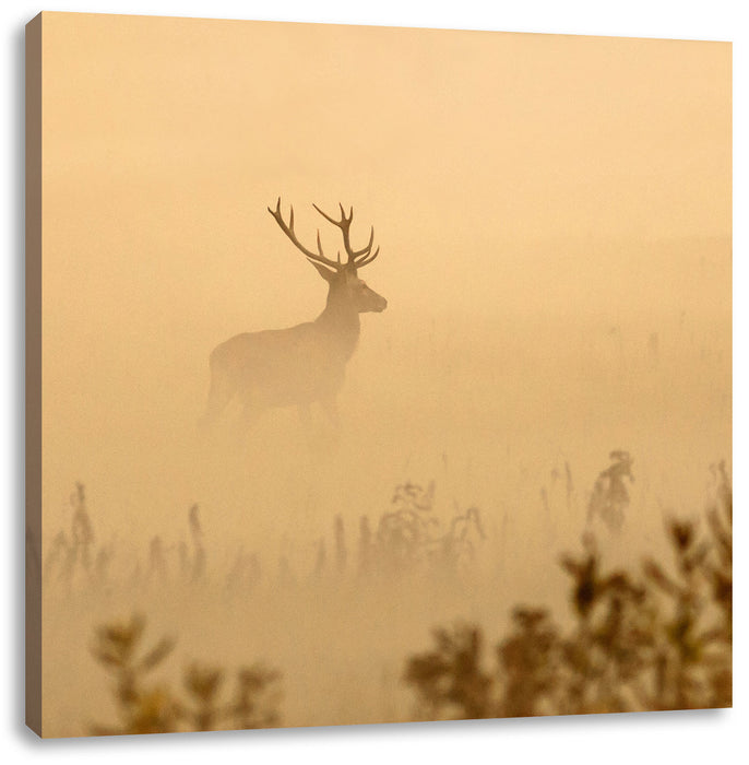 Hirsch im Nebel Leinwandbild Quadratisch