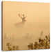 Hirsch im Nebel Leinwandbild Quadratisch