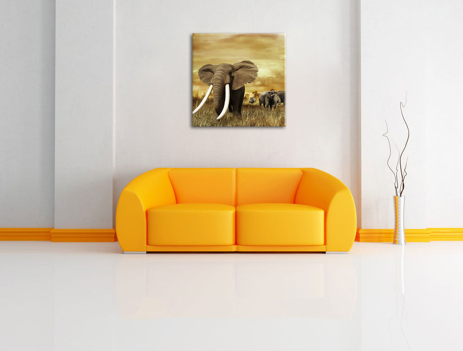 Stolzer Elefant in Savanne Leinwandbild Quadratisch über Sofa