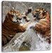 Kämpfende Tiger im Wasser Leinwandbild Quadratisch