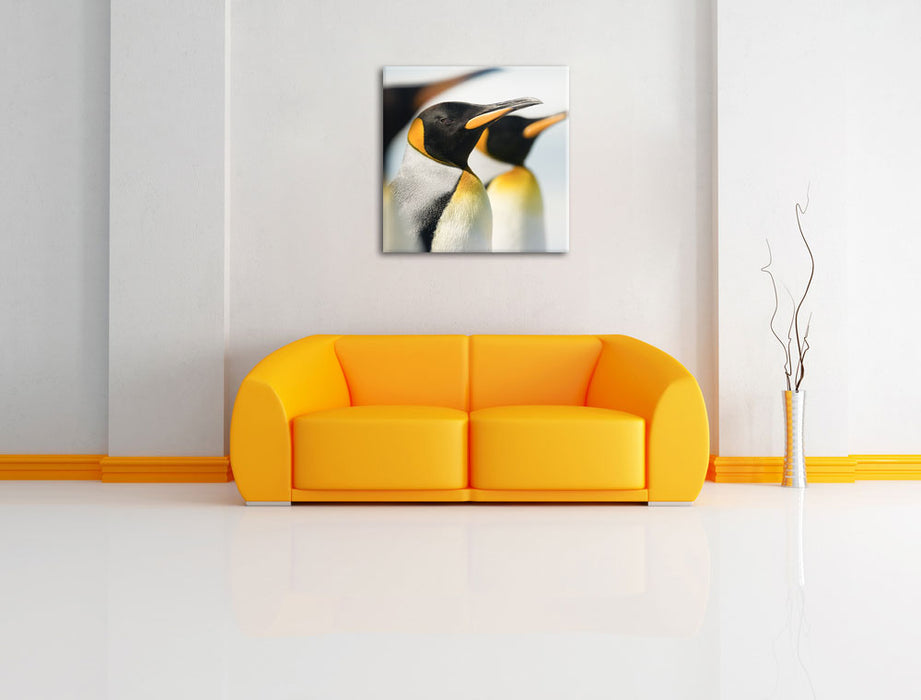 Pinguine Leinwandbild Quadratisch über Sofa