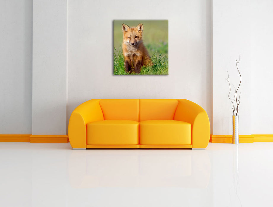 Kleiner Fuchs Leinwandbild Quadratisch über Sofa